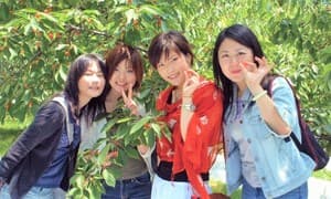 鶴岡自動車学園イメージ
