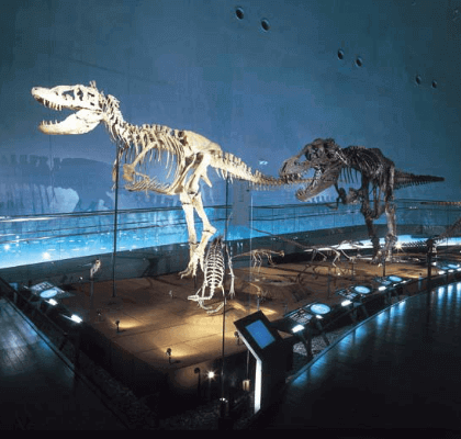 福井に行くなら行きたい！世界三大恐竜博物館の『福井県立恐竜博物館』は迫力満点！