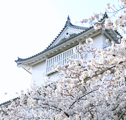 桜の名所、津山城跡