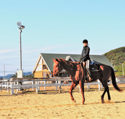 授業の合間には乗馬体験！アニマルセラピーとしても効果が高いと言われる馬と触れ合って癒やされてみませんか♪