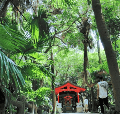 自然が美しい青島には天然記念物や観光スポットなども満載！